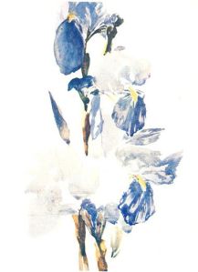 Irises by Edouard Manet. (Watercolor on paper. 1880. Private Collection.) Not in Brooklyn exhibition. Click to enlarge.