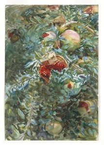 Pomegranites by John Singer Sargent. (Watercolor on paper. 1908. Brooklyn Museum of Art.)